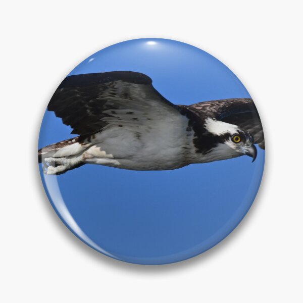 Item preview, Looking for dinner  designed and sold by Glennphotos.