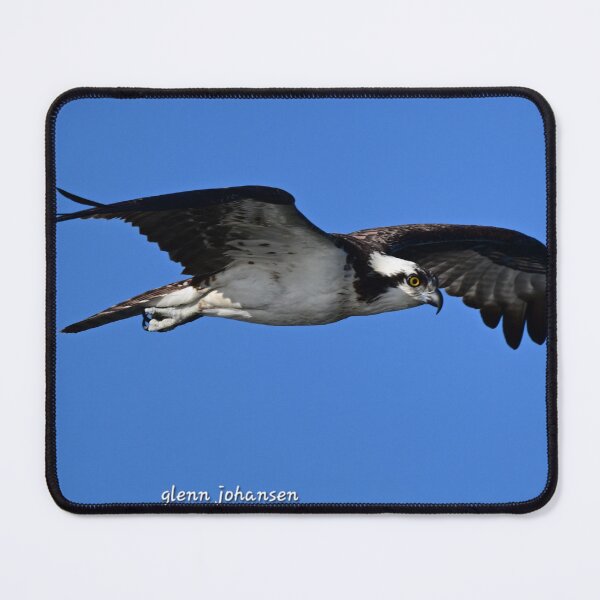 Item preview, Looking for dinner designed and sold by Glennphotos.