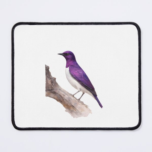 Item preview, Violet-backed Hyliota (Hyliota violacea) designed and sold by HOMETOWN86.