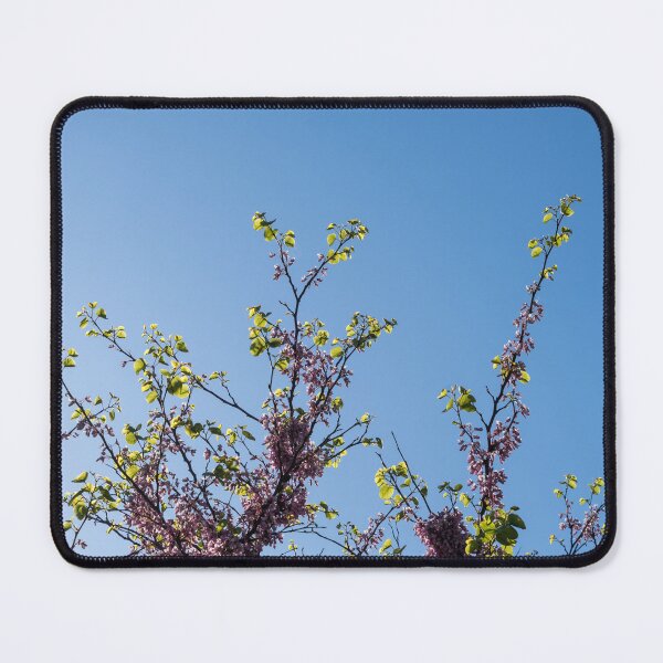 Item preview, Blossoming Judas Tree Branches Against Clear Sky designed and sold by Georgia Mizuleva.