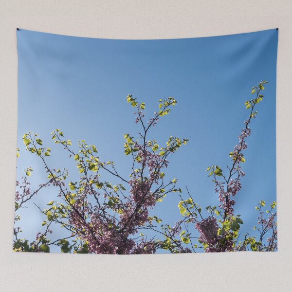 Item preview, Blossoming Judas Tree Branches Against Clear Sky designed and sold by Georgia Mizuleva.