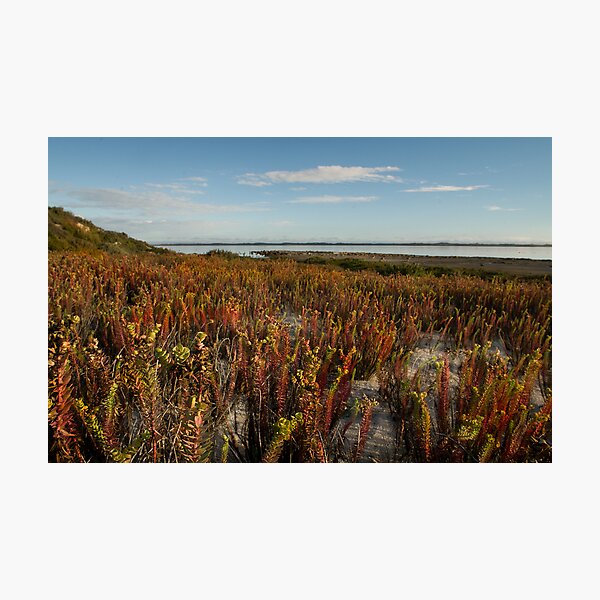 Artikelvorschau, Coorong 3 entworfen und verkauft von Seesee.