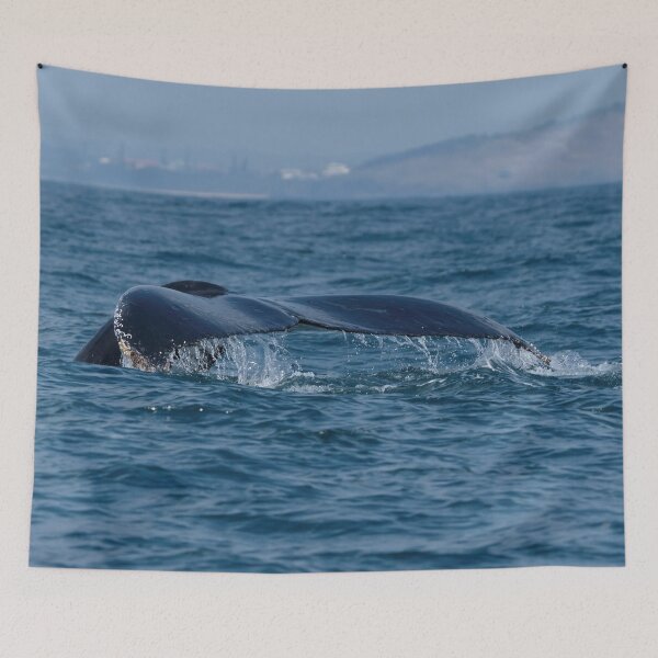 Item preview, Humpback Whale Fluke Above The Ocean designed and sold by Barry Callister Photography.
