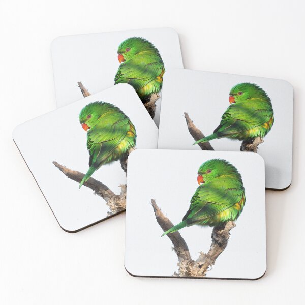 Item preview, Scaly-breasted Lorikeet High Key Australian Bird designed and sold by Barry Callister Photography.