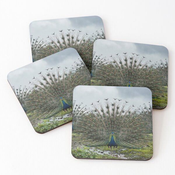 Item preview, Monsoon Majesty – Trio of Dancing Peacocks in the Rain Wall Art designed and sold by sugato123.