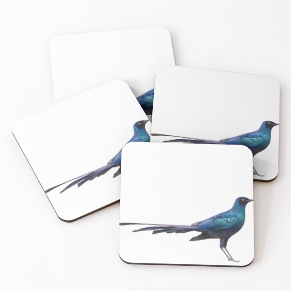 Item preview, Copper-tailed Glossy Starling (Hylopsar cupreocauda) designed and sold by HOMETOWN86.