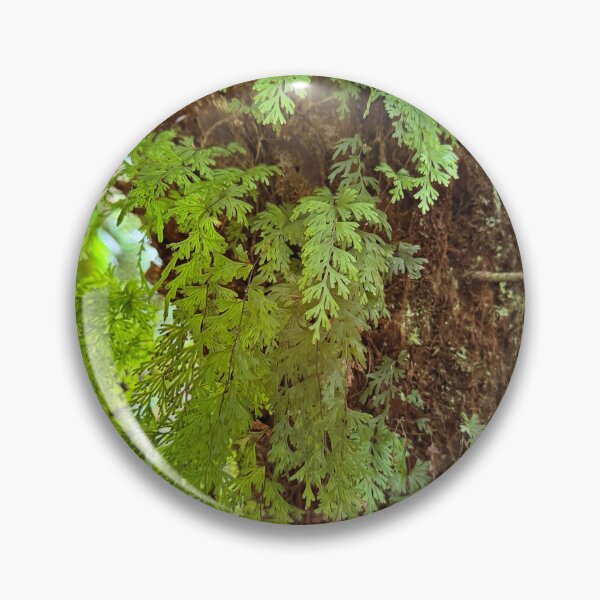 Item preview, Otways rainforest  designed and sold by The Paper Cut .