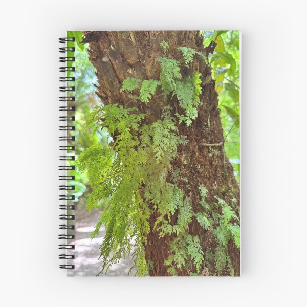 Item preview, Otways rainforest  designed and sold by The Paper Cut .