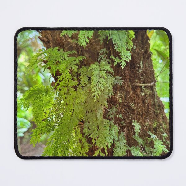 Item preview, Otways rainforest  designed and sold by The Paper Cut .