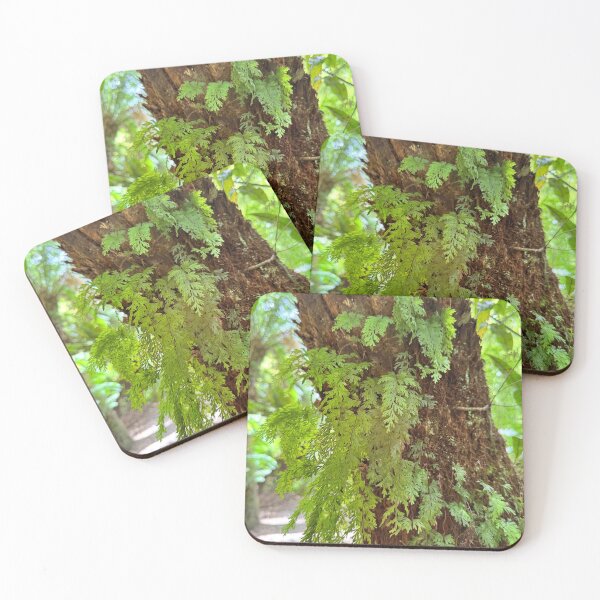 Item preview, Otways rainforest  designed and sold by The Paper Cut .