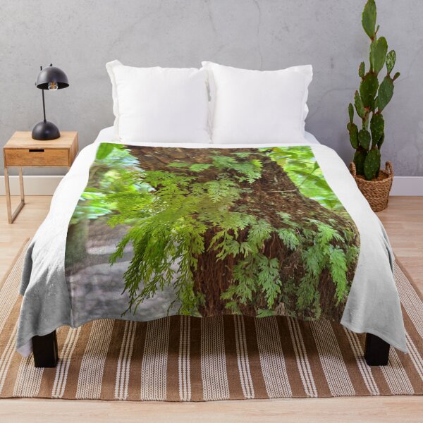 Item preview, Otways rainforest  designed and sold by The Paper Cut .