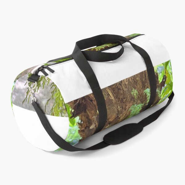 Item preview, Otways rainforest  designed and sold by The Paper Cut .