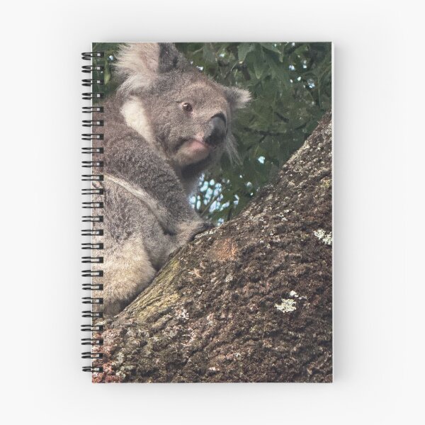 Item preview, Otways Koala  designed and sold by The Paper Cut .