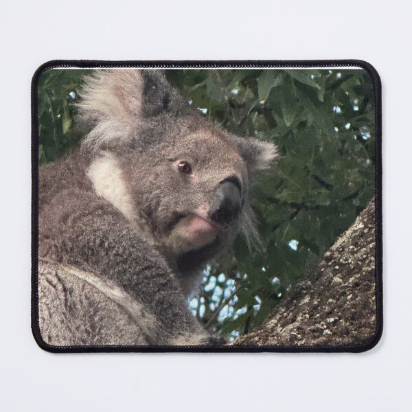 Item preview, Otways Koala  designed and sold by The Paper Cut .
