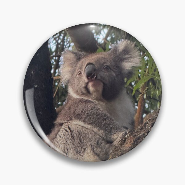 Item preview, Otways Koala 1 designed and sold by The Paper Cut .