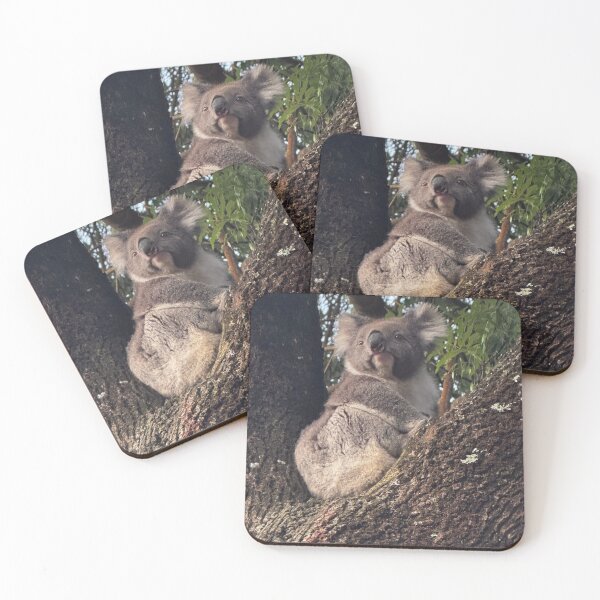 Item preview, Otways Koala 1 designed and sold by The Paper Cut .