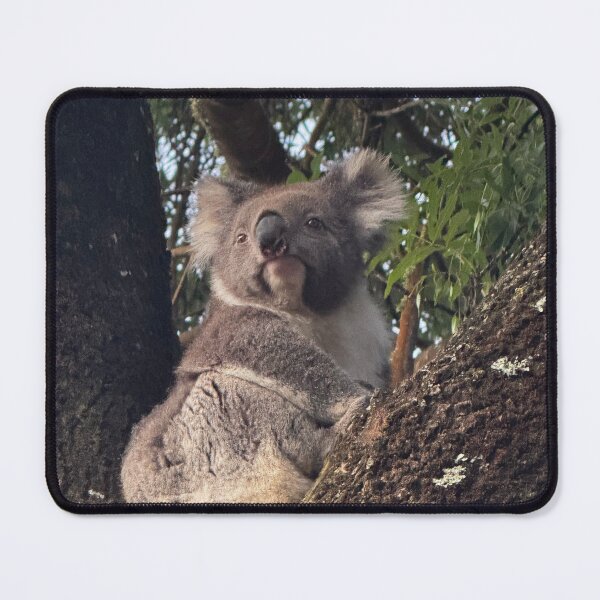 Item preview, Otways Koala 1 designed and sold by The Paper Cut .