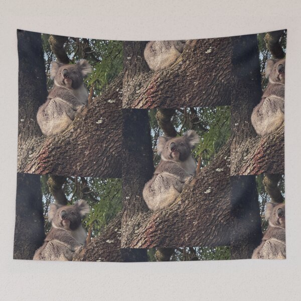 Item preview, Otways Koala 1 designed and sold by The Paper Cut .