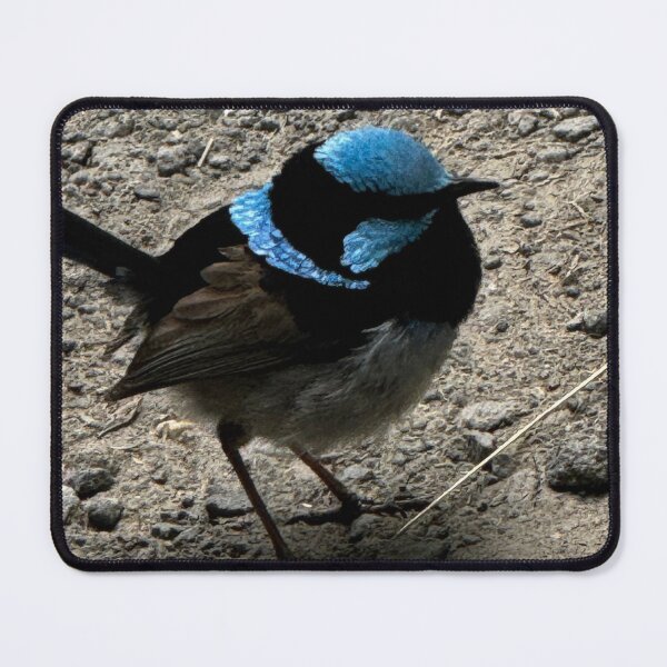 Item preview, Blue Wren  designed and sold by The Paper Cut .