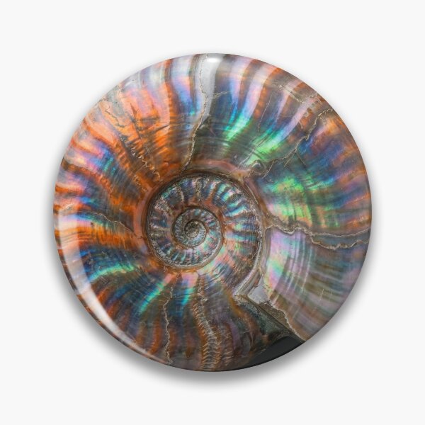 Item preview, Iridescent Ammonite Fossil designed and sold by Tridentulus.