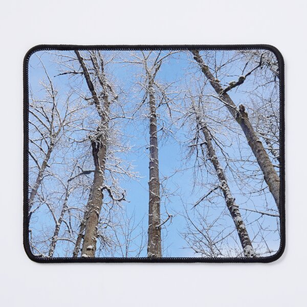Item preview, Looking Up at Snow Covered Trees designed and sold by couragesings.