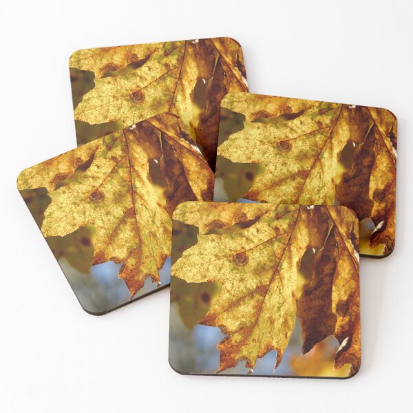 Item preview, Sunshine Strikes the Leaves designed and sold by couragesings.