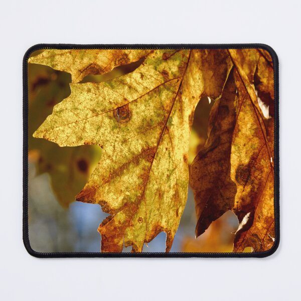 Item preview, Sunshine Strikes the Leaves designed and sold by couragesings.