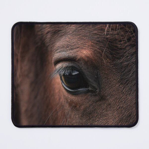 Item preview, Horse Eye Picture designed and sold by Léa Lefebvre Photography.