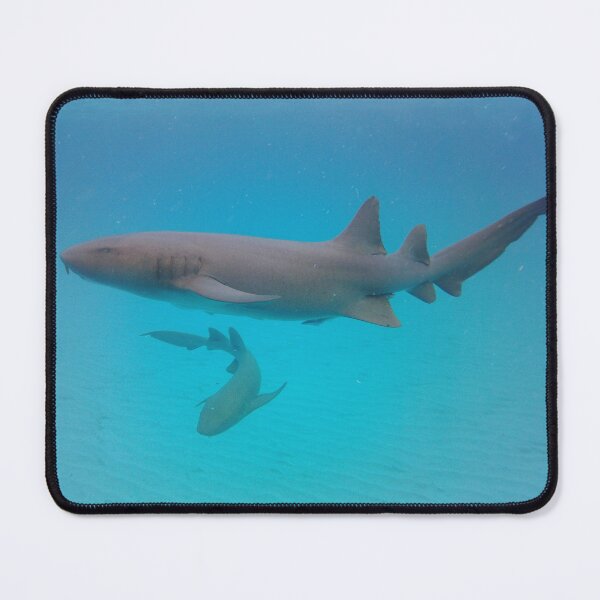 Item preview, Nurse Sharks designed and sold by Marine Motif.