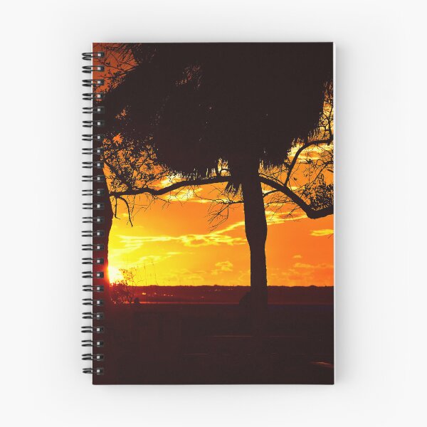 Item preview, Silhouette of Trees at Sunset designed and sold by MercerImages.