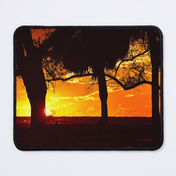 Item preview, Silhouette of Trees at Sunset designed and sold by MercerImages.