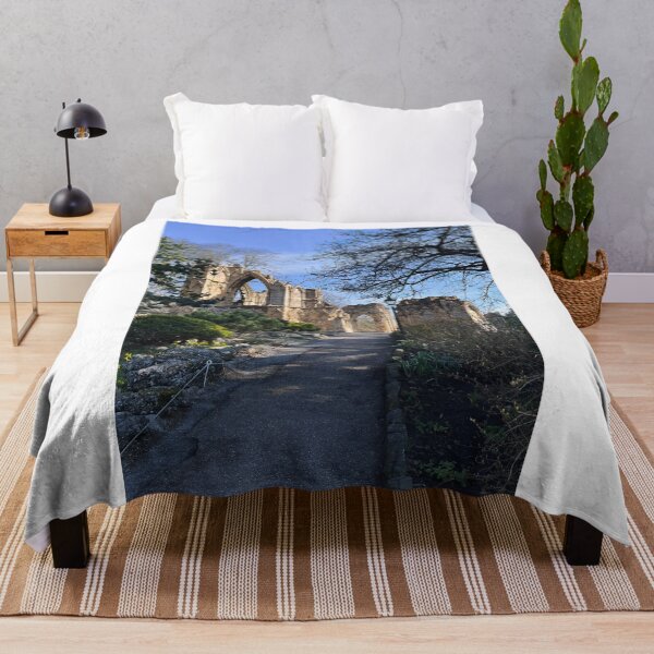 Item preview, St Marys Abbey York designed and sold by RJW Images.