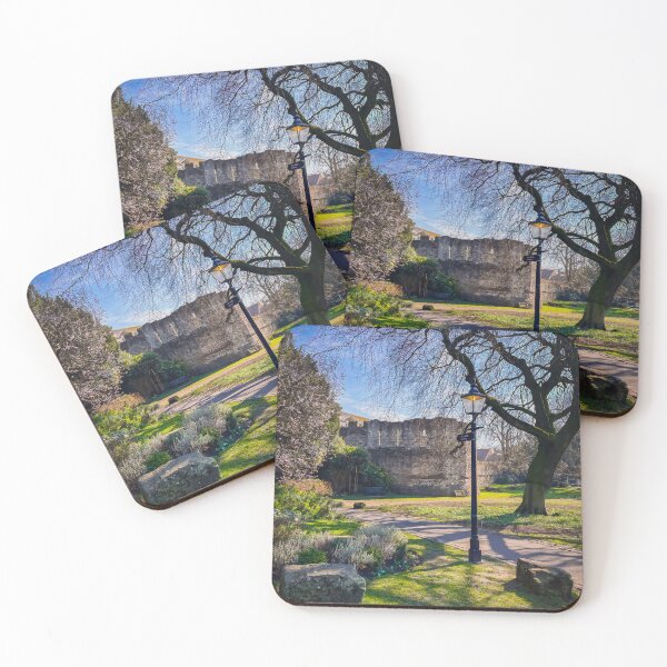 Item preview, York Museum Gardens designed and sold by RJW Images.