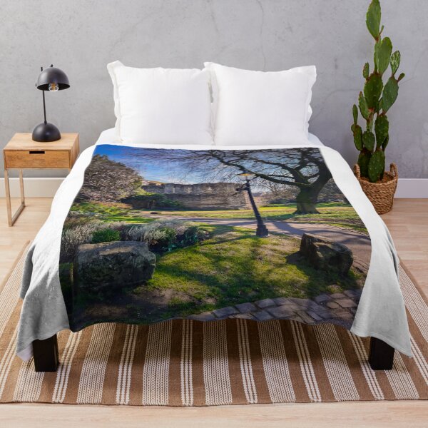 Item preview, York Museum Gardens designed and sold by RJW Images.