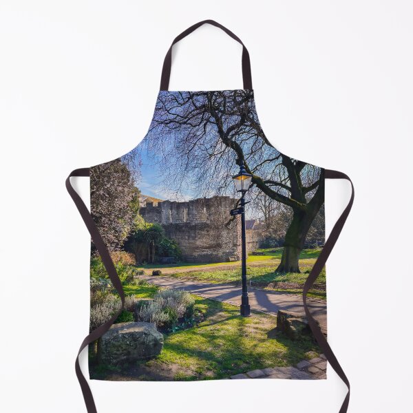 Item preview, York Museum Gardens designed and sold by RJW Images.