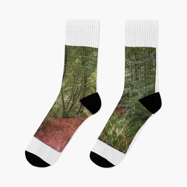Item preview, Inverkip Woodland Walk designed and sold by RJW Images.
