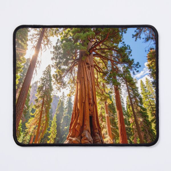 Item preview, General Sherman Tree designed and sold by BoKev.