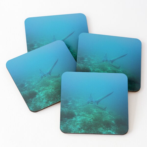 Item preview, Thresher Shark designed and sold by Marine Motif.