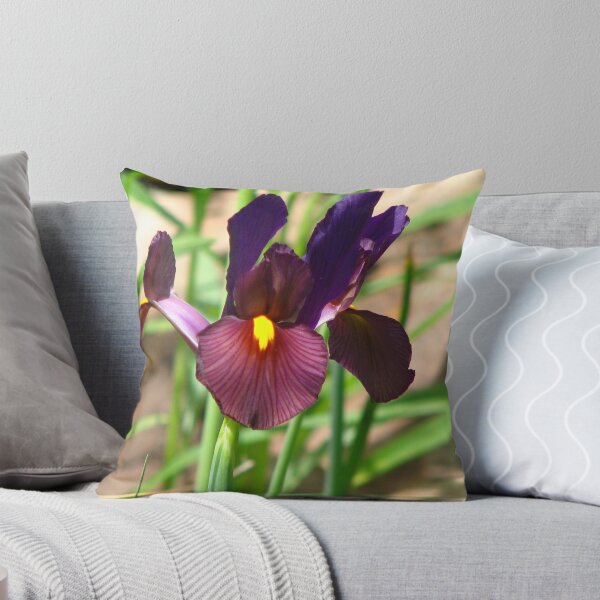 Item preview, Iris designed and sold by IndyLady.