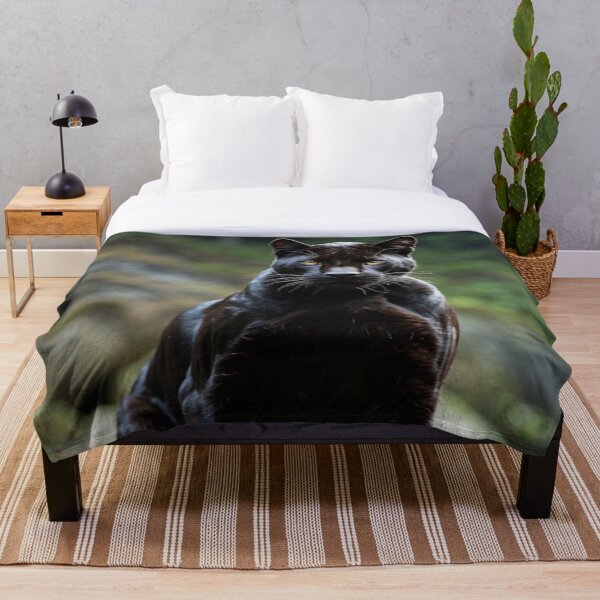 Item preview, black panther by water – dark wildlife – mystical animal art designed and sold by Traumrausch.