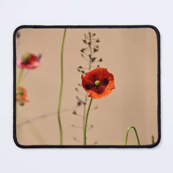 Item preview, Red Poppies and Seedpods Blooming designed and sold by Imagerisium.