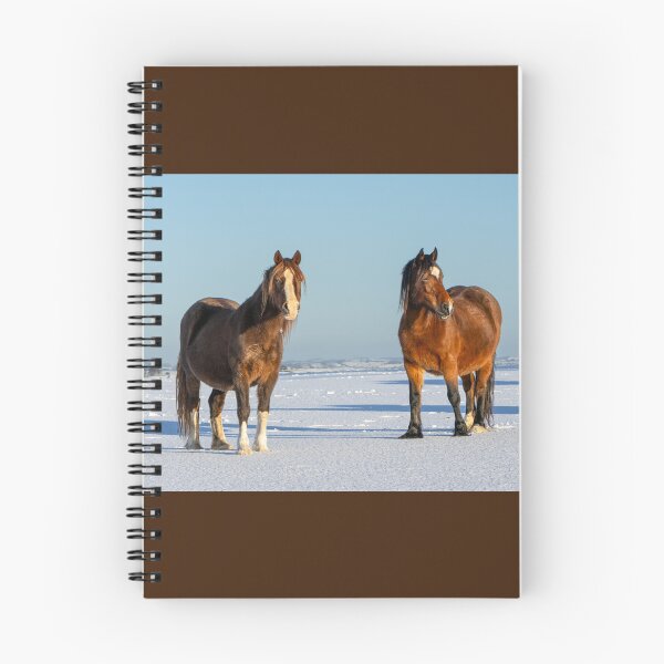 Item preview, Ponies in the Snow designed and sold by Jane Stanley Photography.