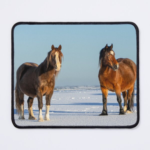 Item preview, Ponies in the Snow designed and sold by Jane Stanley Photography.