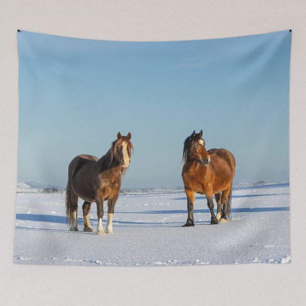 Item preview, Ponies in the Snow designed and sold by Jane Stanley Photography.