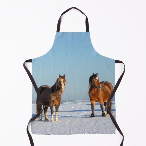 Item preview, Ponies in the Snow designed and sold by Jane Stanley Photography.