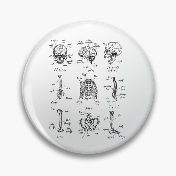Item preview, Human Skeleton Anatomy, Unisex Medical, Human Body Bones Vintage, Anatomy Nursing Student, Medical Student Gift designed and sold by DesignDenDo ⭐⭐⭐⭐⭐.