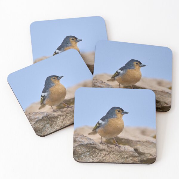 Item preview, Blue Tenerife finch on ground designed and sold by Imagerisium.