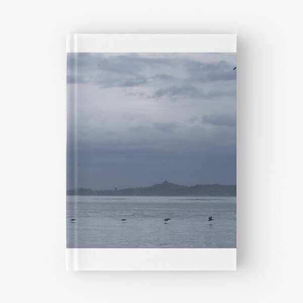 Item preview, San Francisco Bay designed and sold by Igor Pozdnyakov.