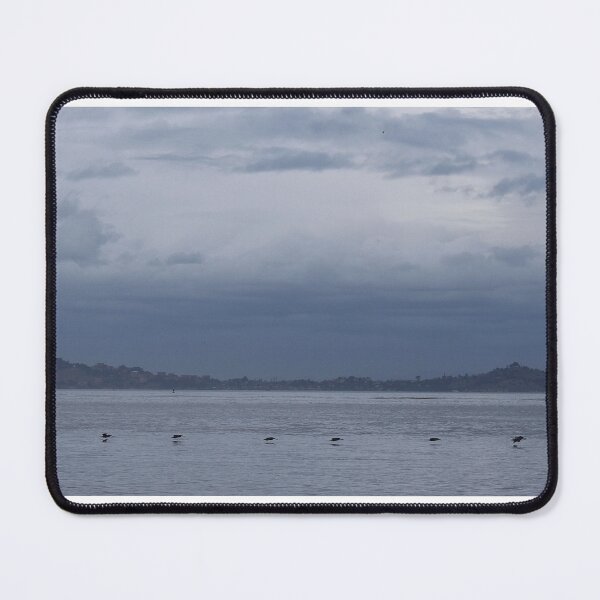 Item preview, San Francisco Bay designed and sold by Igor Pozdnyakov.