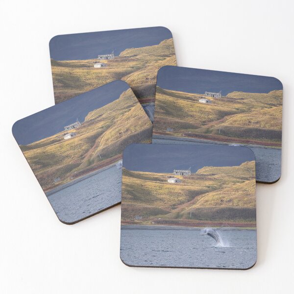 Item preview, AleutianLife Hog Island and Humpback  designed and sold by Aleutian Life Studios.